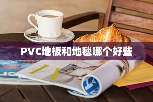 PVC地板和地毯哪个好些