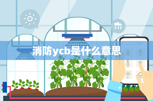 消防ycb是什么意思