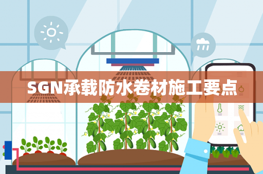 SGN承载防水卷材施工要点