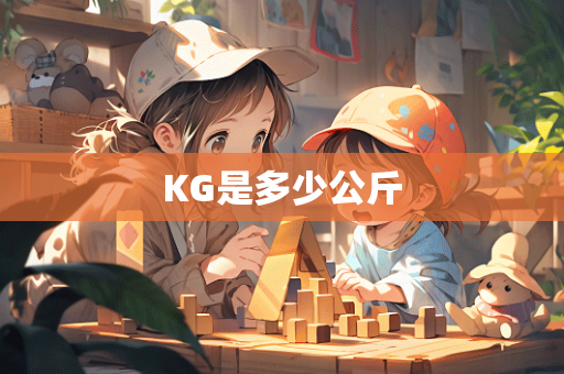 KG是多少公斤