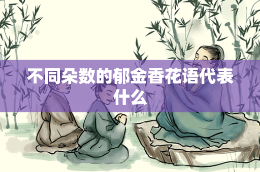 不同朵数的郁金香花语代表什么