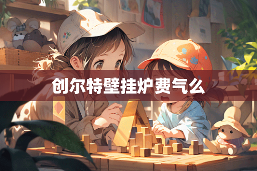 创尔特壁挂炉费气么