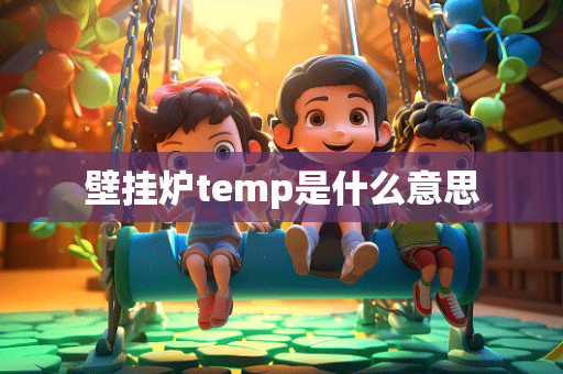 壁挂炉temp是什么意思