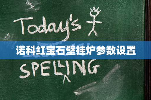 诺科红宝石壁挂炉参数设置