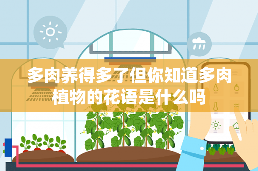 多肉养得多了但你知道多肉植物的花语是什么吗