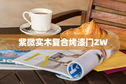 紫微实木复合烤漆门ZW